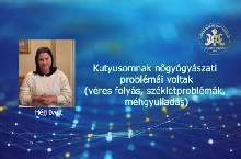 Kutyusomnak nőgyógyászati problémái voltak (véres folyás, székletproblémák, méhgyulladás) – Héjj Ivett